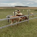 Beglamp Glamping - Narty, Gory I Park Narodowy Lyxtält Szczytna