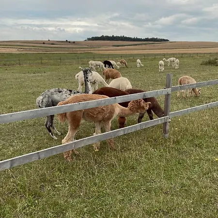 Beglamp Glamping - Narty, Gory I Park Narodowy ラグジュアリーテント シュチトナ