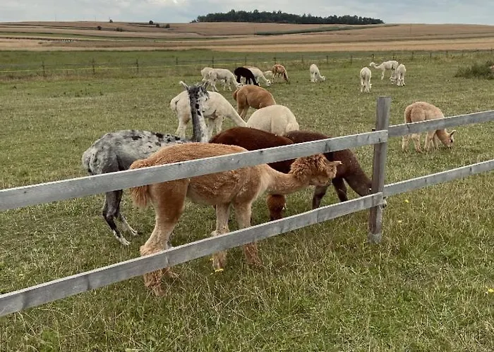 Beglamp Glamping - Narty, Gory I Park Narodowy Οργανωμένο κάμπινγκ Szczytna
